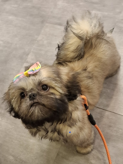Katori Grooming Salon