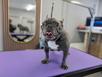 Henrys Dog Grooming Ltd