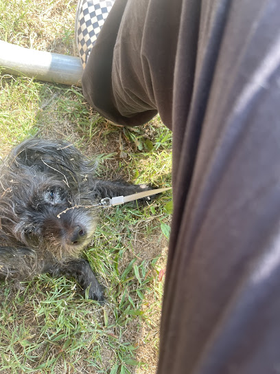 See Spot Grooming Anchorage