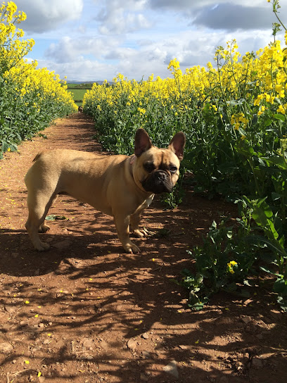 plymstock pet care - Pet Shop in Plymouth