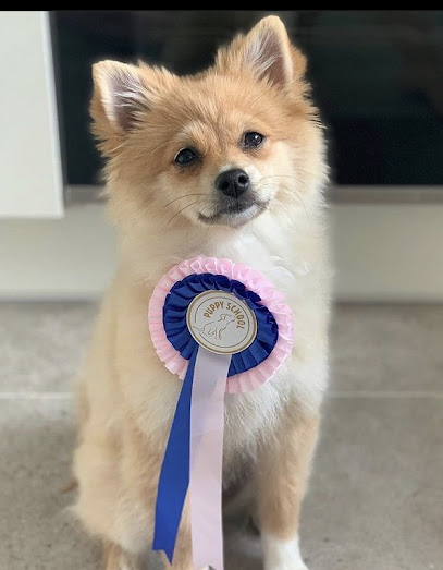 Puppy School Plymouth