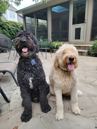 Fur and Feathers Pet Services