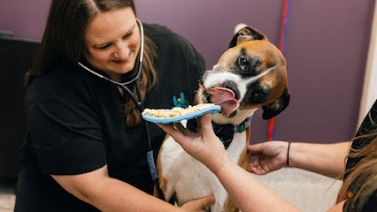 PetVet365 Pet Hospital Louisville / Jeffersontown