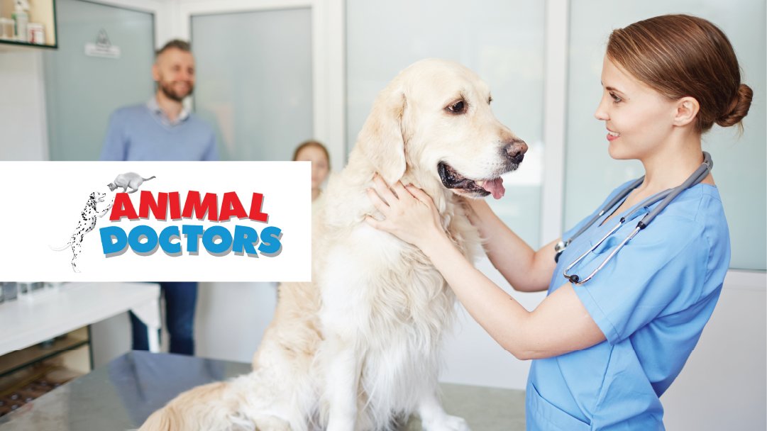 Animal Doctors - Photo 2