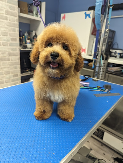 Pamper My Paws Dog Grooming