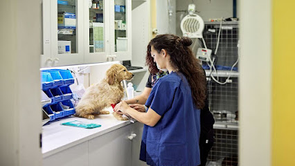 Audubon Animal Medical Center