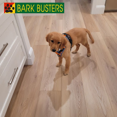 Bark Busters of Louisville