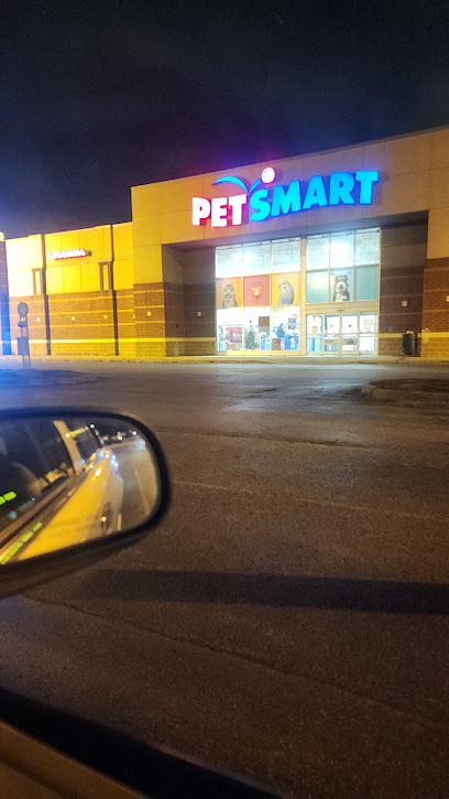 PetSmart Grooming