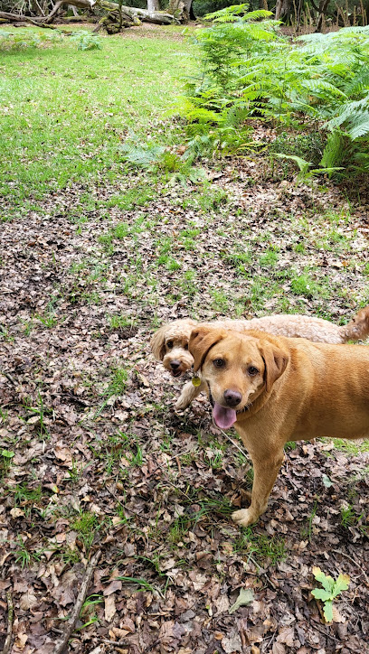 Animals2Go pet care service - Pet Shop in Southampton