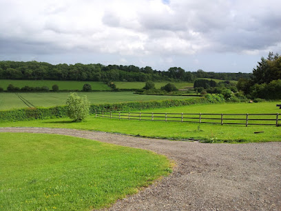 Bishops Waltham Cattery
