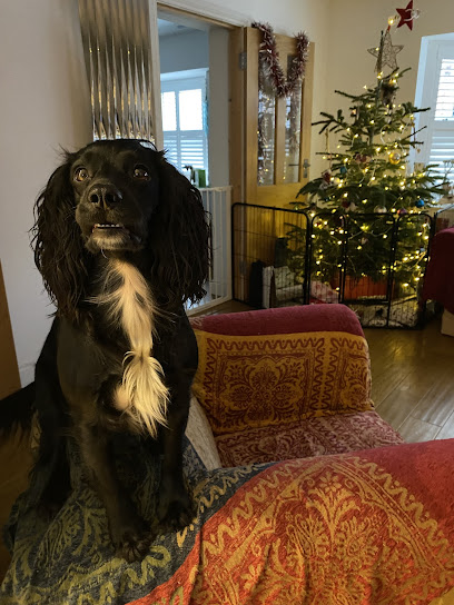 Bishops Waltham Pet Services
