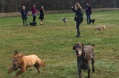 Waggin Walkers