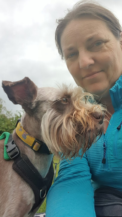 Sarahwalkies