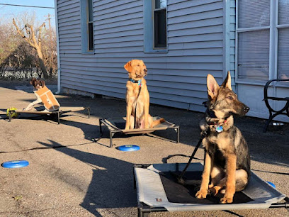 Bulletproof Dog Training