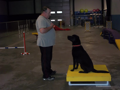 4 Cats, 4 Dogs, and a Moe!