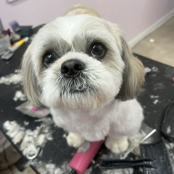 Bullitt County Pet Salon