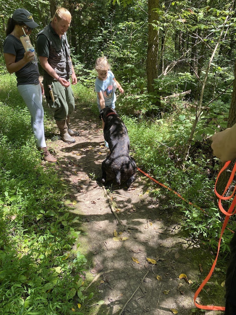 All-X K9 - Photo 2
