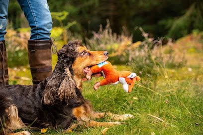 Sustainapaws