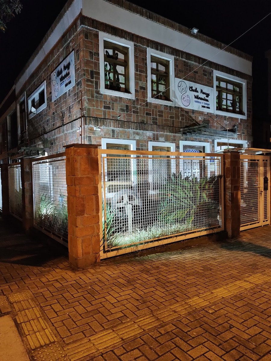 Cheila Panizzi Veterinária