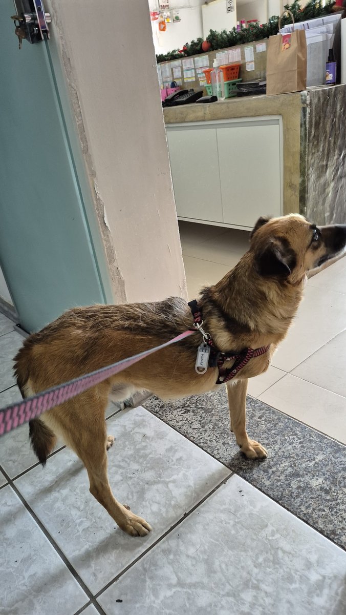 SOS Veterinária/ VR Agropecuária