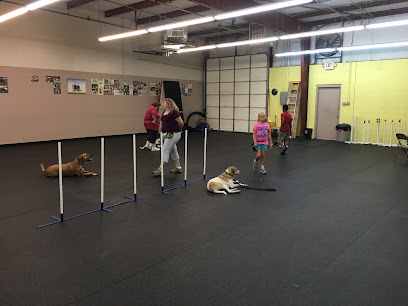 Companion Dog School - Pet Shop in Louisville