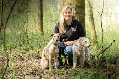 We Love Pets Farnborough & Fleet - Dog Walker, Pet Sitter & Home Boarder - Pet Shop in Reading