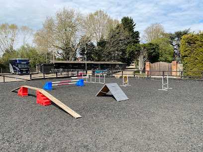 Nashers day care for dogs L/N DDC002 - Pet Shop in Reading