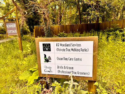 Summer Cottage - Pet Shop in Reading