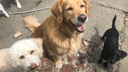 Oscar's Pals Pet Services - Pet Shop in Reading
