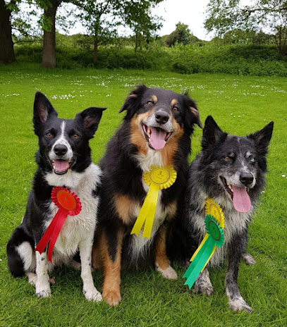 Bakers Barkers - Dog Walking and Pet Care - Pet Shop in Reading