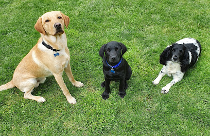 Heartland sitter for dogs ltd - Pet Shop in Reading