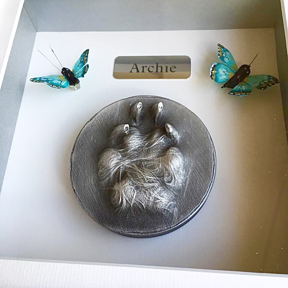 Pet Paw Impressions - Photo 2