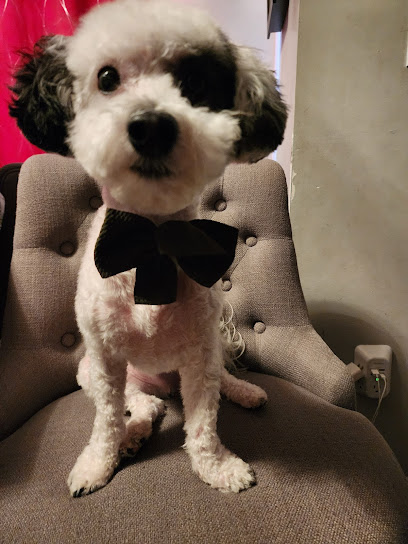 Diamond Dogs Grooming