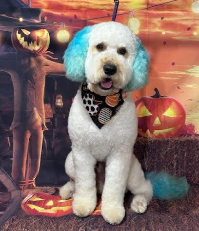 Stars Galaxy Grooming