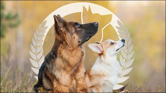 Dog Training Elite Baltimore - Photo 2