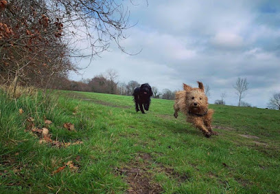 The Woof Retreat - Pet Shop in Reading