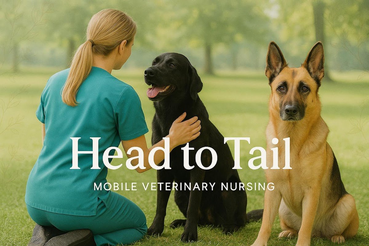 Head to Tail Services - Photo 2