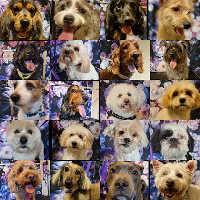 Smooch your Pooch - Dog Grooming - Pet Shop in Reading