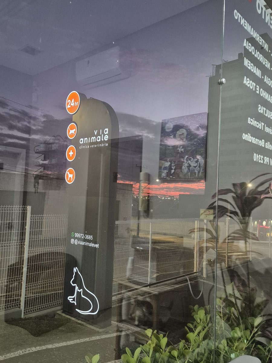 Clínica Veterinária Via Animale