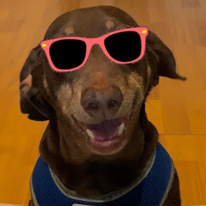 Woofhouse Basingstoke - Pet Shop in Reading