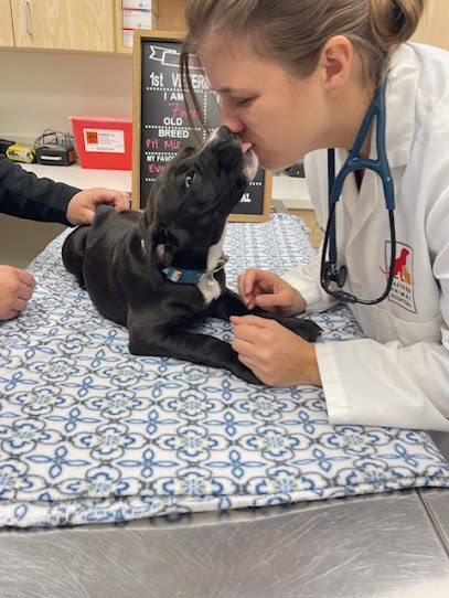 Eastern Animal Hospital