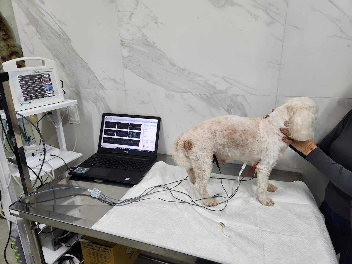 Clínica veterinária N S Ra De Fátima