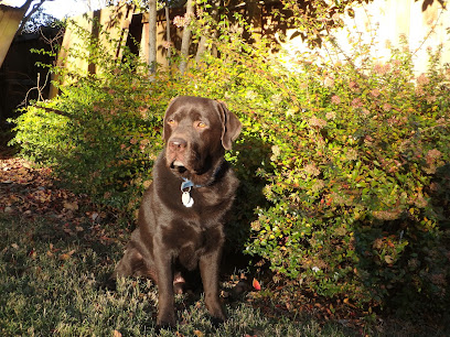 Free State Canine LLC