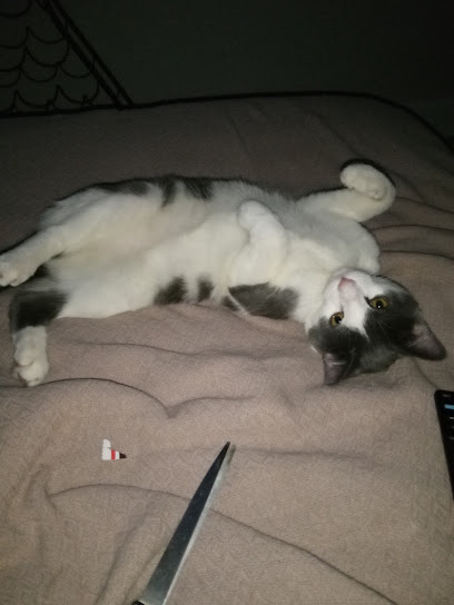 MD SPCA Spay & Neuter Clinic