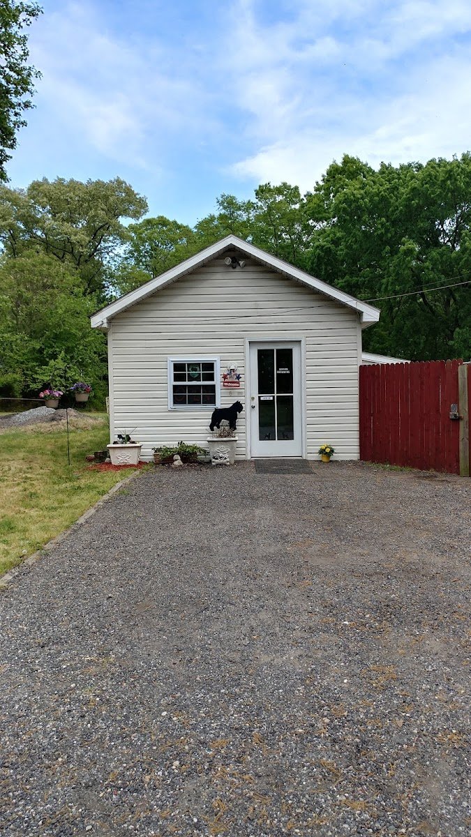 Severn Grooming & Boarding - Photo 2