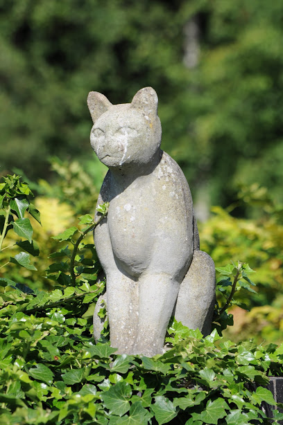 Coppice Kennels and Cattery