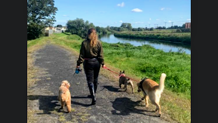 Alexandra's Fur Babies