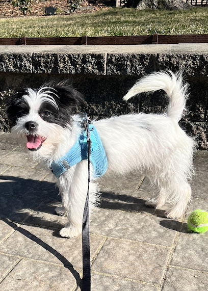 Woofie's of Columbia