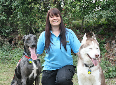 Bark Busters Dog Training Chesterfield & Mansfield