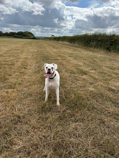 Pettitt Pet Services